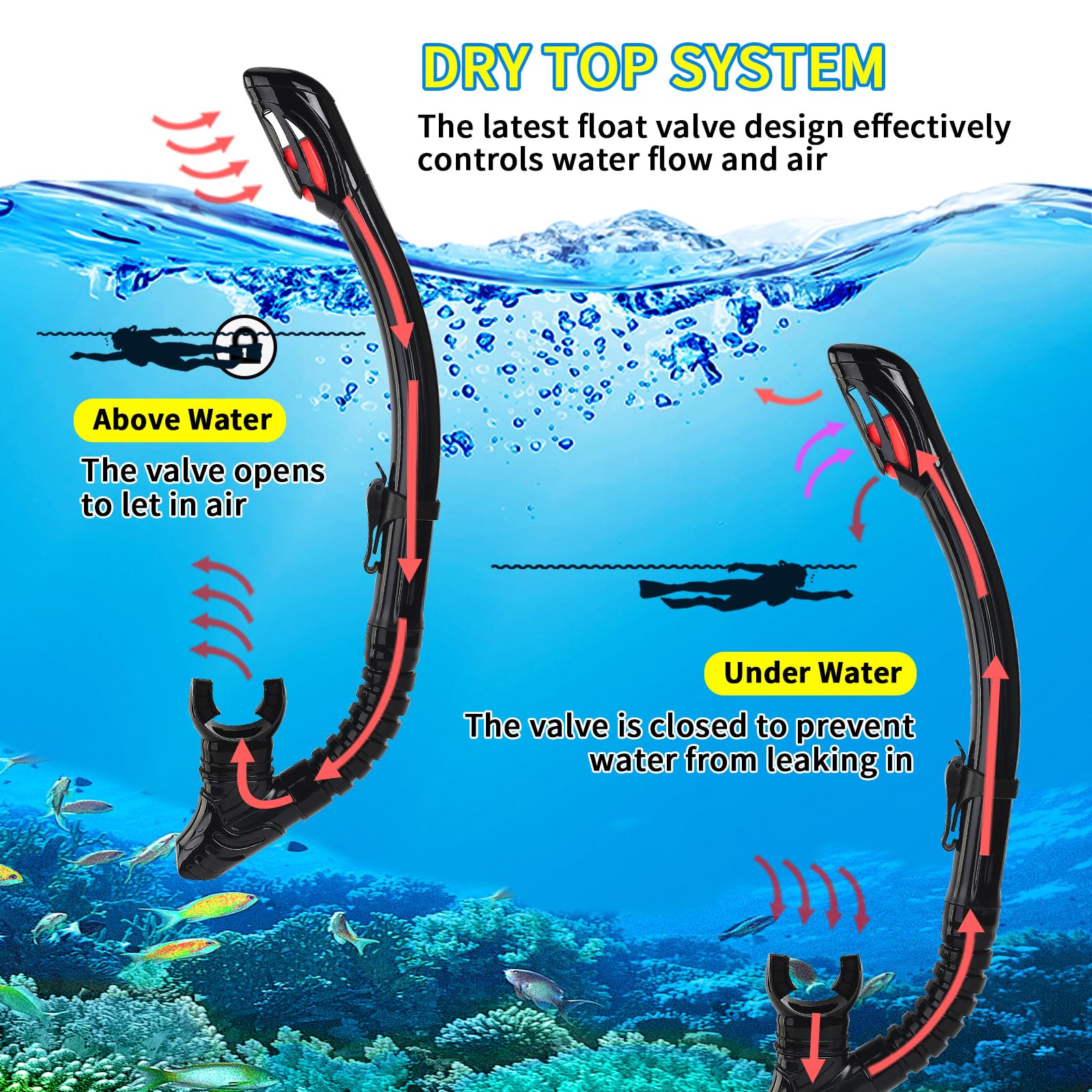 Nearsighted Snorkeling Gear for Adults Youth, Professional Shortsighted Full Dry Top Silicone Snorkel Set, Anti-Fog Diving Mask with Detachable Camera Mount for Scuba Diving, Spearfishing, Freediving - Image 5