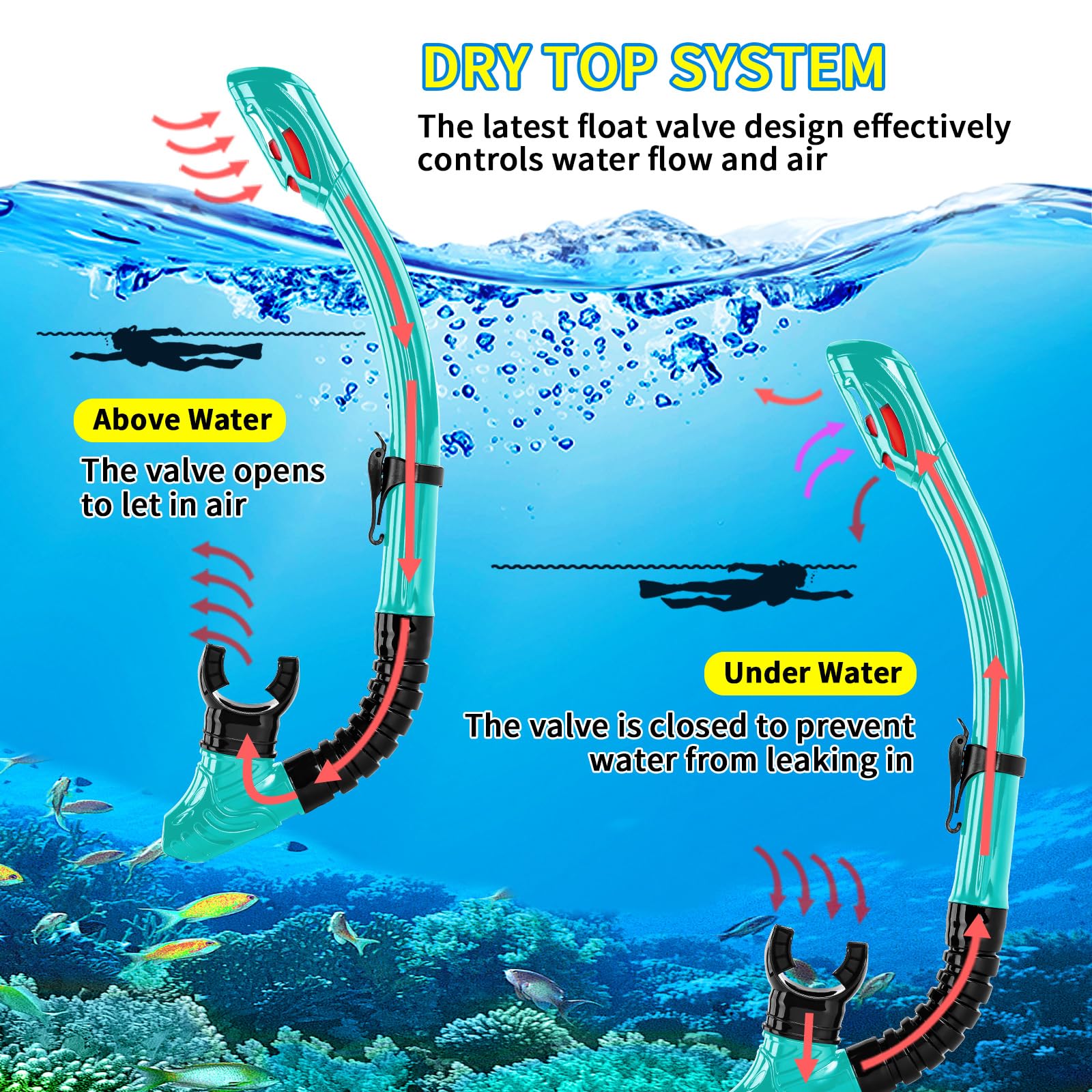 Nearsighted Snorkeling Gear for Adults Youth, Professional Shortsighted Full Dry Top Silicone Snorkel Set, Anti-Fog Diving Mask with Detachable Camera Mount for Scuba Diving, Spearfishing, Freediving - Image 5